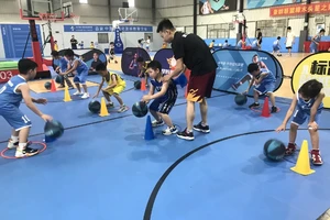 专业篮球教练如何指导不同体型的球员训练:策略与实践